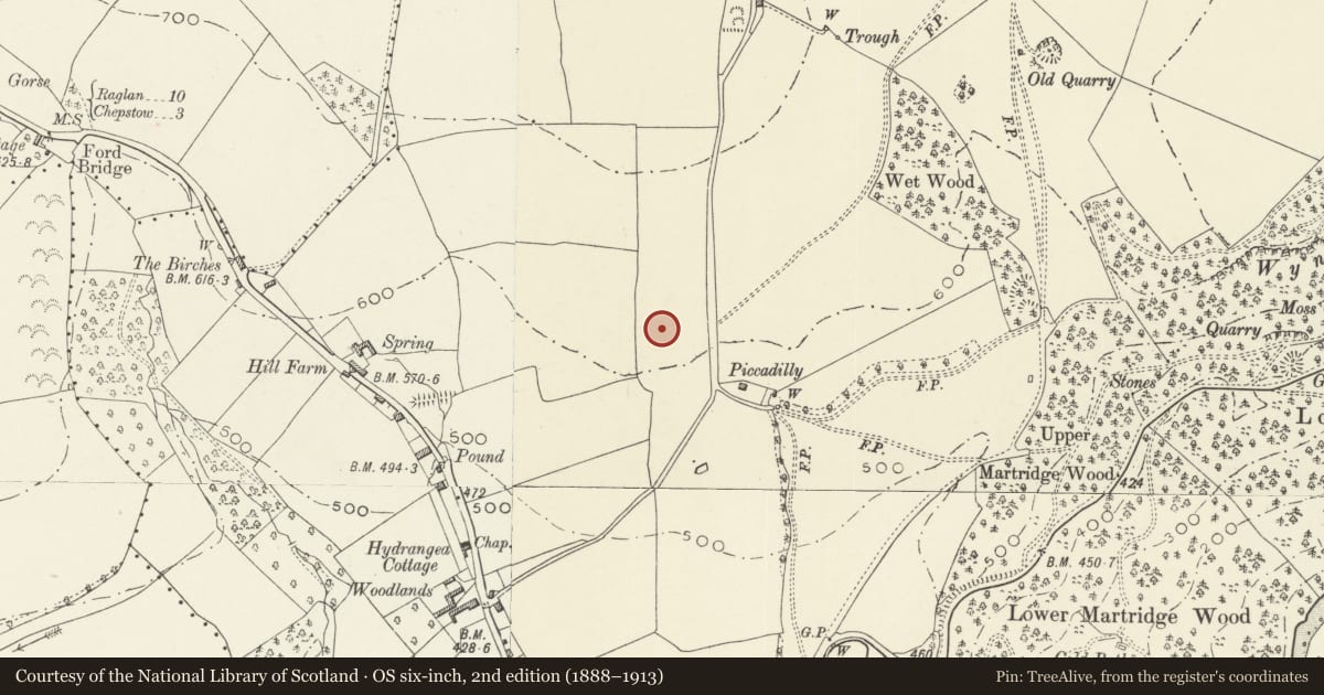 Ordnance Survey six-inch map, 2nd edition (1888–1913) covering the location of Garage Cottages at Wyndcliffe Court, St. Arvans, Monmouthshire, with a pin at the register's coordinates