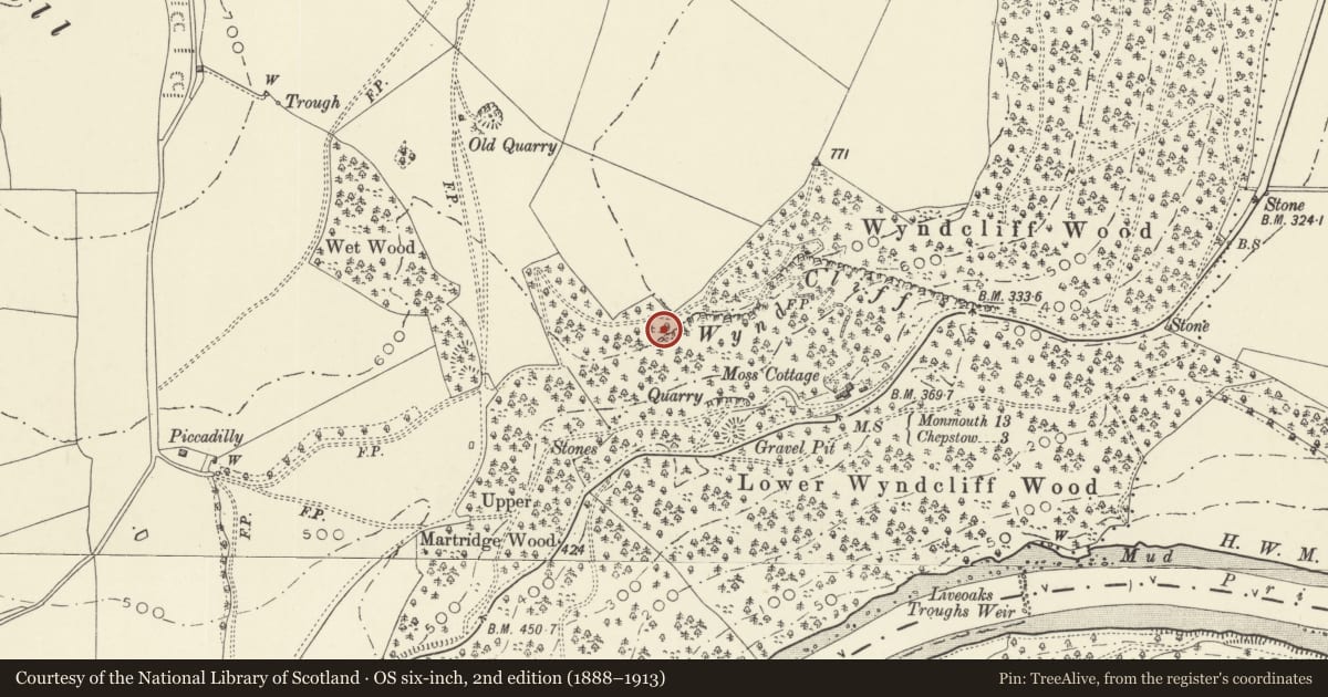Ordnance Survey six-inch map, 2nd edition (1888–1913) covering the location of The Eagle's Nest, St. Arvans, Monmouthshire, with a pin at the register's coordinates