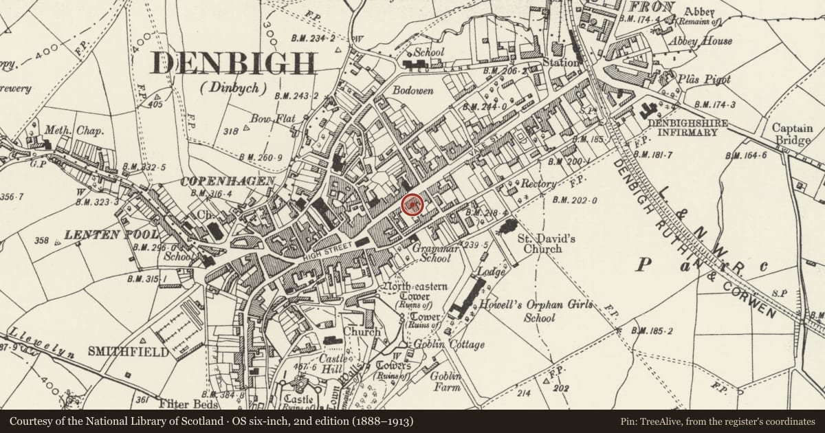 Ordnance Survey six-inch map, 2nd edition (1888–1913) covering the location of 24 Vale Street, Denbigh, Denbighshire, with a pin at the register's coordinates