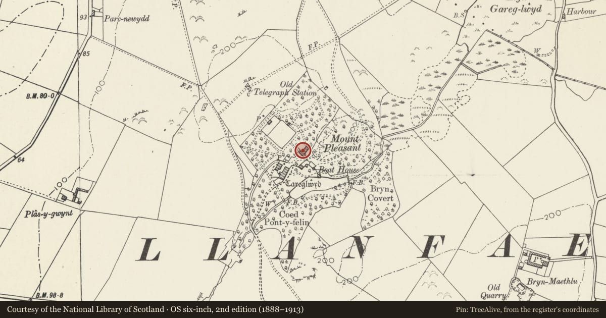 Ordnance Survey six-inch map, 2nd edition (1888–1913) covering the location of The Stables, Carreglwyd, Llanfaethlu, Isle of Anglesey, with a pin at the register's coordinates