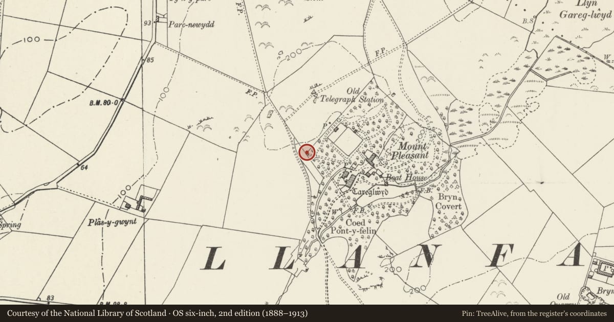 Ordnance Survey six-inch map, 2nd edition (1888–1913) covering the location of Folly, Carreglwyd, Llanfaethlu, Isle of Anglesey, with a pin at the register's coordinates