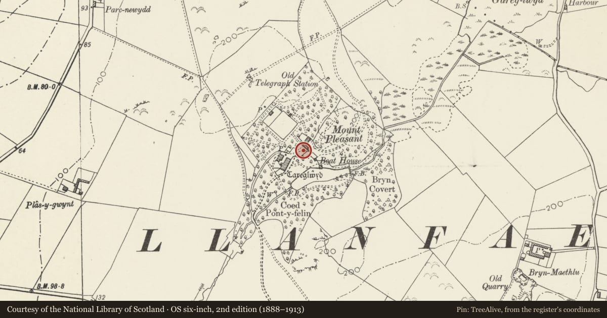Ordnance Survey six-inch map, 2nd edition (1888–1913) covering the location of Gateways and walls to NE of Carreglwyd, Llanfaethlu, Isle of Anglesey, with a pin at the register's coordinates