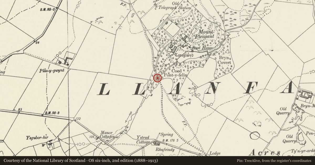 Ordnance Survey six-inch map, 2nd edition (1888–1913) covering the location of Bridge, walling and gateposts at the entrance to Carreglwyd, Llanfaethlu, Isle of Anglesey, with a pin at the register's coordinates