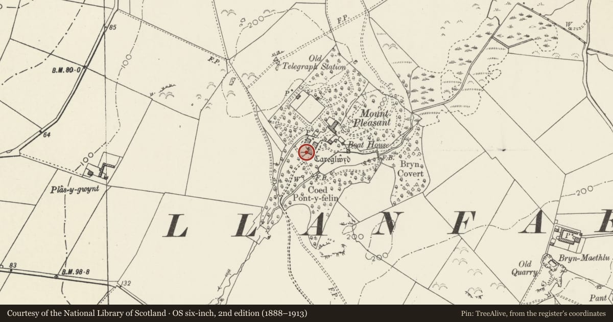 Ordnance Survey six-inch map, 2nd edition (1888–1913) covering the location of Sundial, Carreglwyd, Llanfaethlu, Isle of Anglesey, with a pin at the register's coordinates
