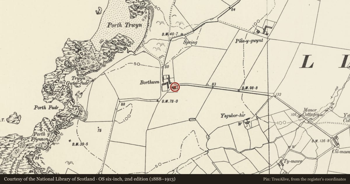 Ordnance Survey six-inch map, 2nd edition (1888–1913) covering the location of Borth Wen, Llanfaethlu, Isle of Anglesey, with a pin at the register's coordinates