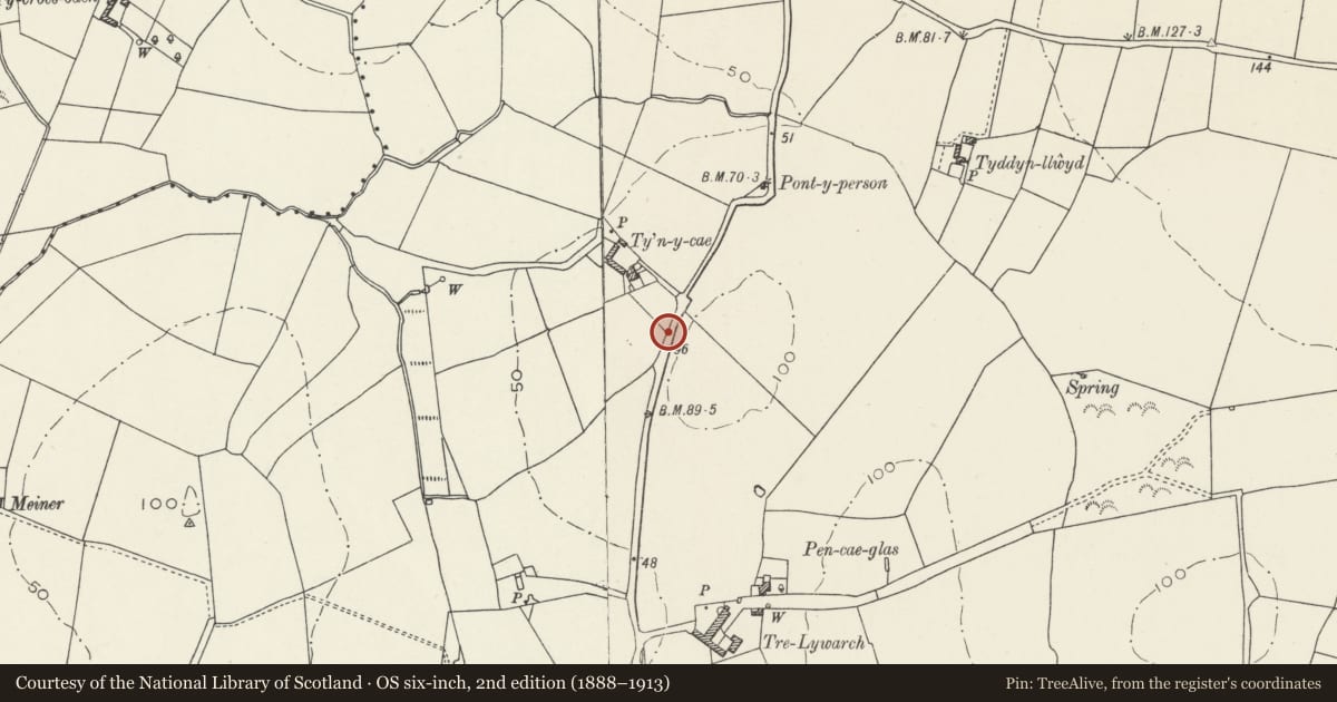 Ordnance Survey six-inch map, 2nd edition (1888–1913) covering the location of Gateposts and wall, Uwch y don, Llanfaethlu, Isle of Anglesey, with a pin at the register's coordinates