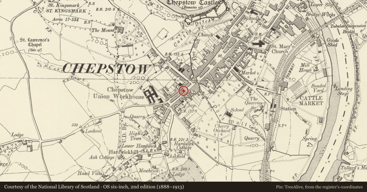 Ordnance Survey six-inch map, 2nd edition (1888–1913) covering the location of Albion Chambers, Chepstow, Monmouthshire, with a pin at the register's coordinates