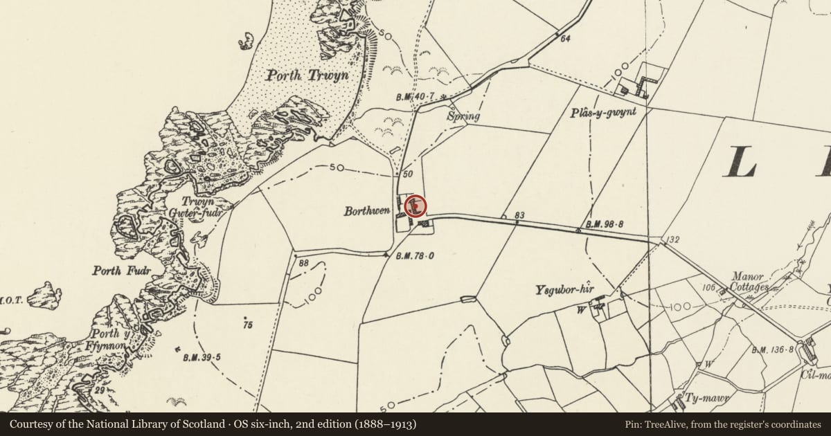 Ordnance Survey six-inch map, 2nd edition (1888–1913) covering the location of Former smithy and cowhouse range, Borth Wen, Llanfaethlu, Isle of Anglesey, with a pin at the register's coordinates