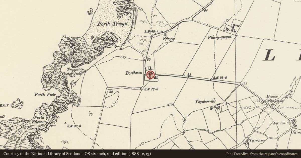 Ordnance Survey six-inch map, 2nd edition (1888–1913) covering the location of Corn barn, cartshed-granary and stable range, including stackyard wall, Borth Wen, Llanfaethlu, Isle of Anglesey, with a pin at the register's coordinates