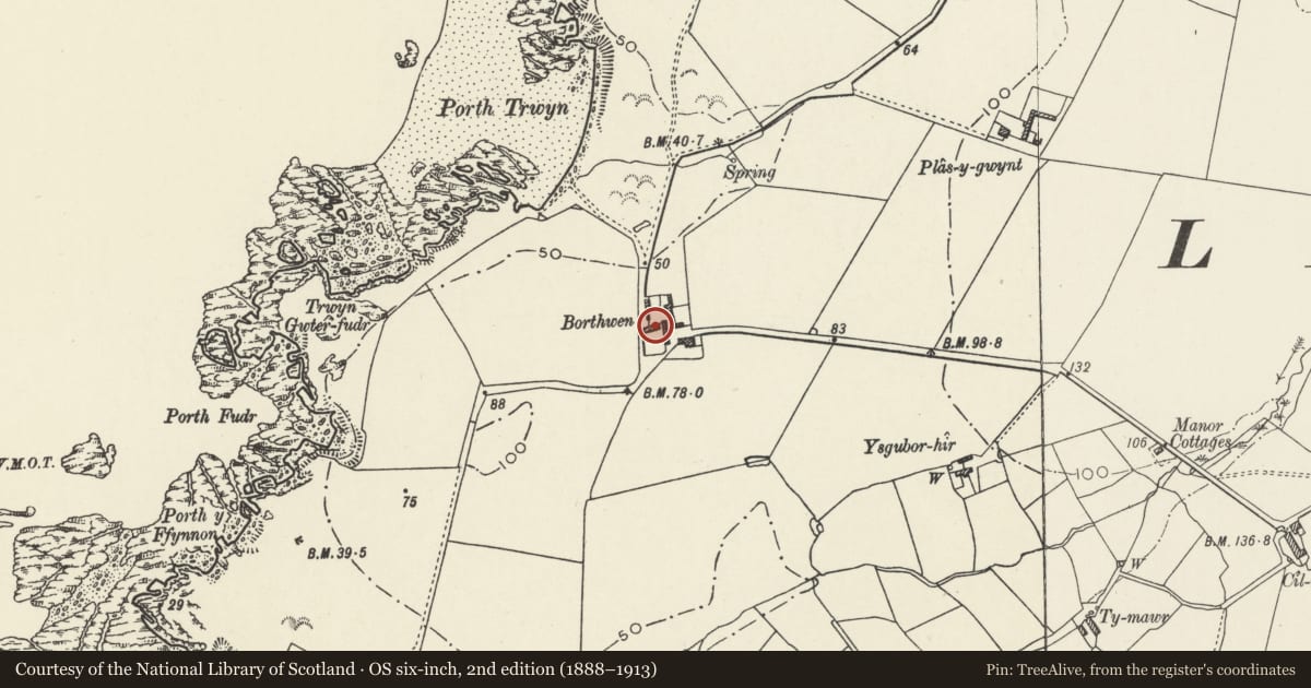 Ordnance Survey six-inch map, 2nd edition (1888–1913) covering the location of Stable and cowhouse range, Borth Wen, Llanfaethlu, Isle of Anglesey, with a pin at the register's coordinates