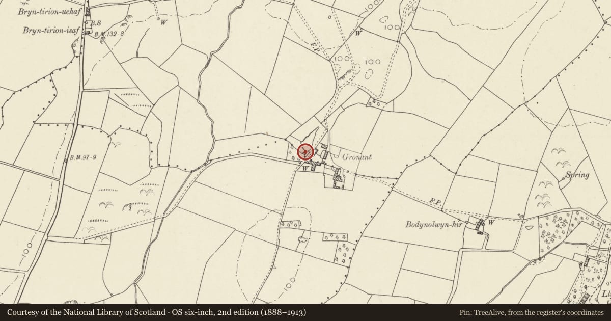 Ordnance Survey six-inch map, 2nd edition (1888–1913) covering the location of Watermill, Gronant, Llanfaethlu, Isle of Anglesey, with a pin at the register's coordinates