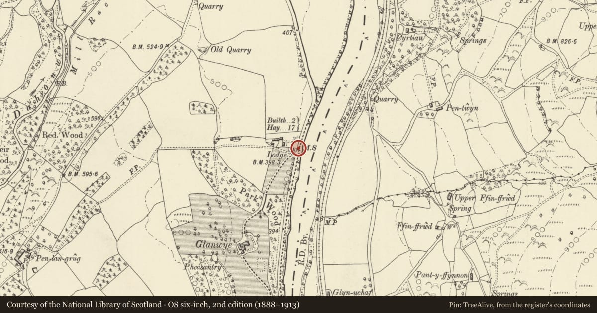 Ordnance Survey six-inch map, 2nd edition (1888–1913) covering the location of Milestone near Glanwye Lodge, Duhonw, Powys, with a pin at the register's coordinates