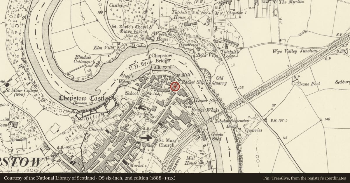 Ordnance Survey six-inch map, 2nd edition (1888–1913) covering the location of Warehouse adjoining N Wye House, Chepstow, Monmouthshire, with a pin at the register's coordinates