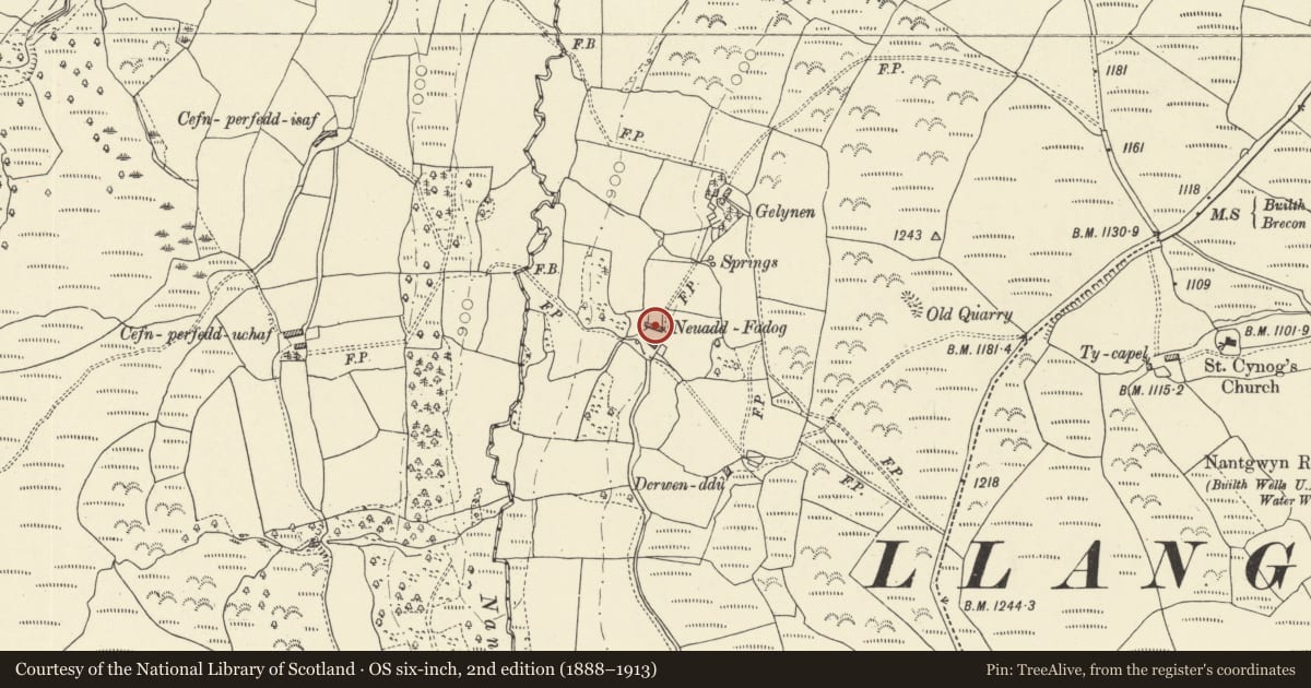 Ordnance Survey six-inch map, 2nd edition (1888–1913) covering the location of Neuadd-Fadog, Duhonw, Powys, with a pin at the register's coordinates