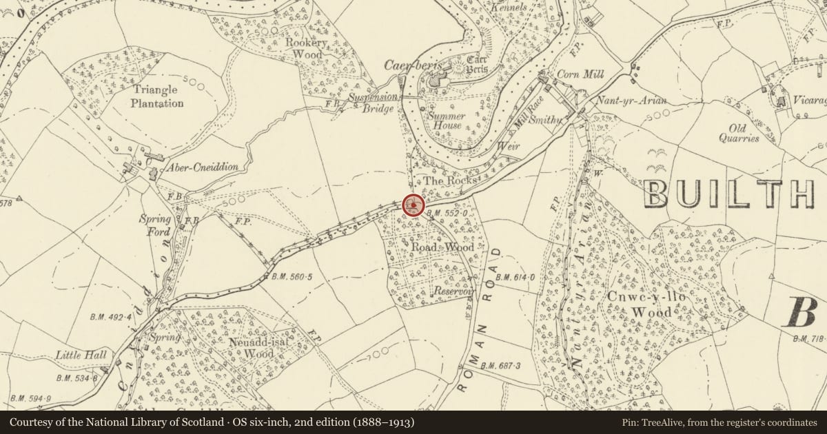 Ordnance Survey six-inch map, 2nd edition (1888–1913) covering the location of Fingerpost at The Rocks, Duhonw, Powys, with a pin at the register's coordinates