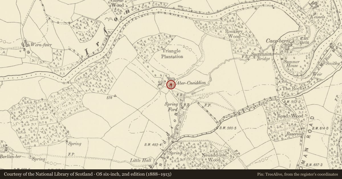 Ordnance Survey six-inch map, 2nd edition (1888–1913) covering the location of Abercynithon, Duhonw, Powys, with a pin at the register's coordinates