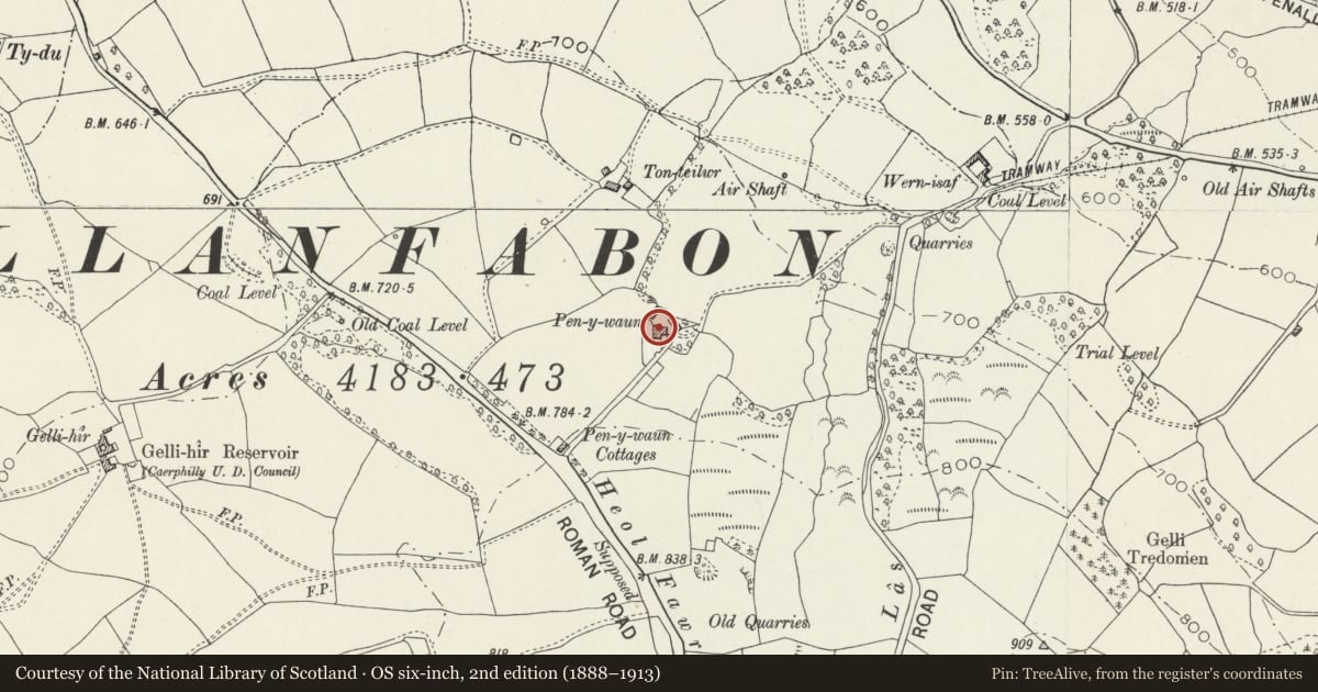 Ordnance Survey six-inch map, 2nd edition (1888–1913) covering the location of Pen-y-waun, Nelson, Caerphilly, with a pin at the register's coordinates