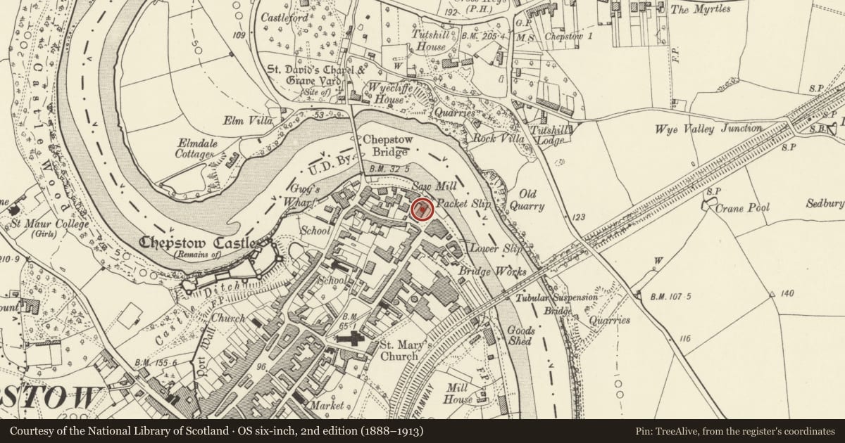 Ordnance Survey six-inch map, 2nd edition (1888–1913) covering the location of Stuart House and attached former warehouse, Chepstow, Monmouthshire, with a pin at the register's coordinates