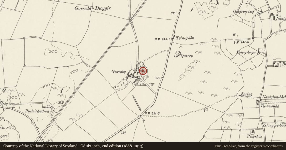 Ordnance Survey six-inch map, 2nd edition (1888–1913) covering the location of Gwredog, Rhosybol, Isle of Anglesey, with a pin at the register's coordinates