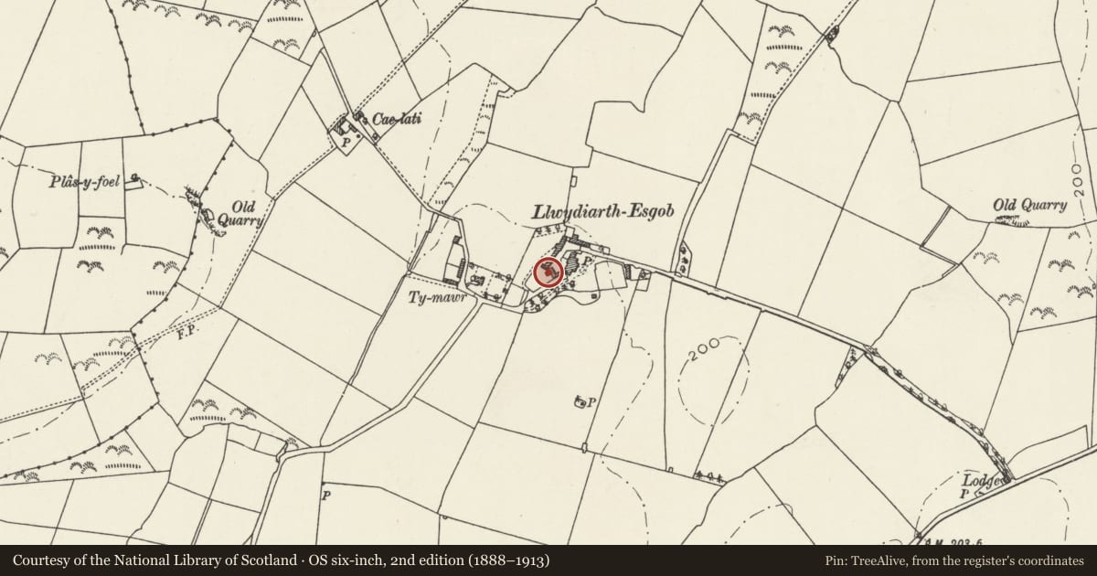 Ordnance Survey six-inch map, 2nd edition (1888–1913) covering the location of Range including cornbarn, granary, threshing room and lofted cowhouse at Llwydiarth Esgob Farm, Rhosybol, Isle of Anglesey, with a pin at the register's coordinates