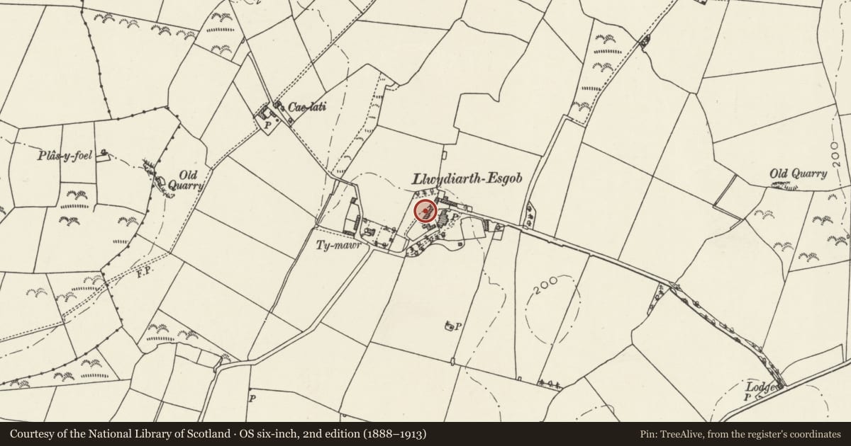 Ordnance Survey six-inch map, 2nd edition (1888–1913) covering the location of Range including cowhouse, stables, coach house, smithy and poultry house at Llwydiarth Esgob Farm, Rhosybol, Isle of Anglesey, with a pin at the register's coordinates