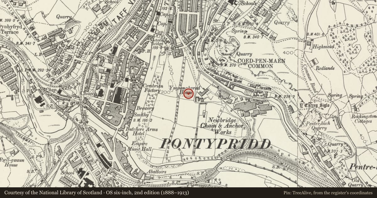 Ordnance Survey six-inch map, 2nd edition (1888–1913) covering the location of Memorial to Evan and James James at Ynysangharad Park, Pontypridd, Rhondda Cynon Taff, with a pin at the register's coordinates