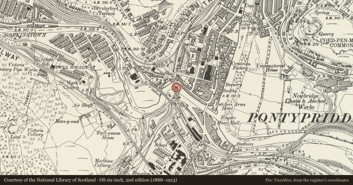 Ordnance Survey six-inch map, 2nd edition (1888–1913) covering the location of Taff Vale Railway Viaduct over Mill Street including masonry weir, Pontypridd, Rhondda Cynon Taff, with a pin at the register's coordinates