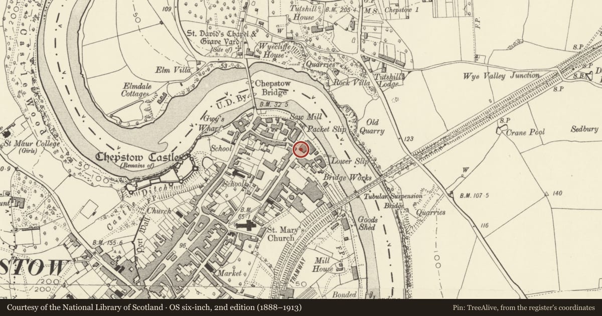 Ordnance Survey six-inch map, 2nd edition (1888–1913) covering the location of The Lord Nelson House, Chepstow, Monmouthshire, with a pin at the register's coordinates