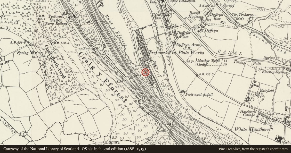 Ordnance Survey six-inch map, 2nd edition (1888–1913) covering the location of Leat Retaining Wall at Treforest Tinplate Works, Pontypridd, Rhondda Cynon Taff, with a pin at the register's coordinates