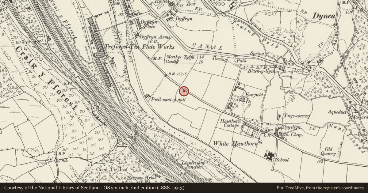 Ordnance Survey six-inch map, 2nd edition (1888–1913) covering the location of Rhydyfelin War Memorial, Pontypridd, Rhondda Cynon Taff, with a pin at the register's coordinates