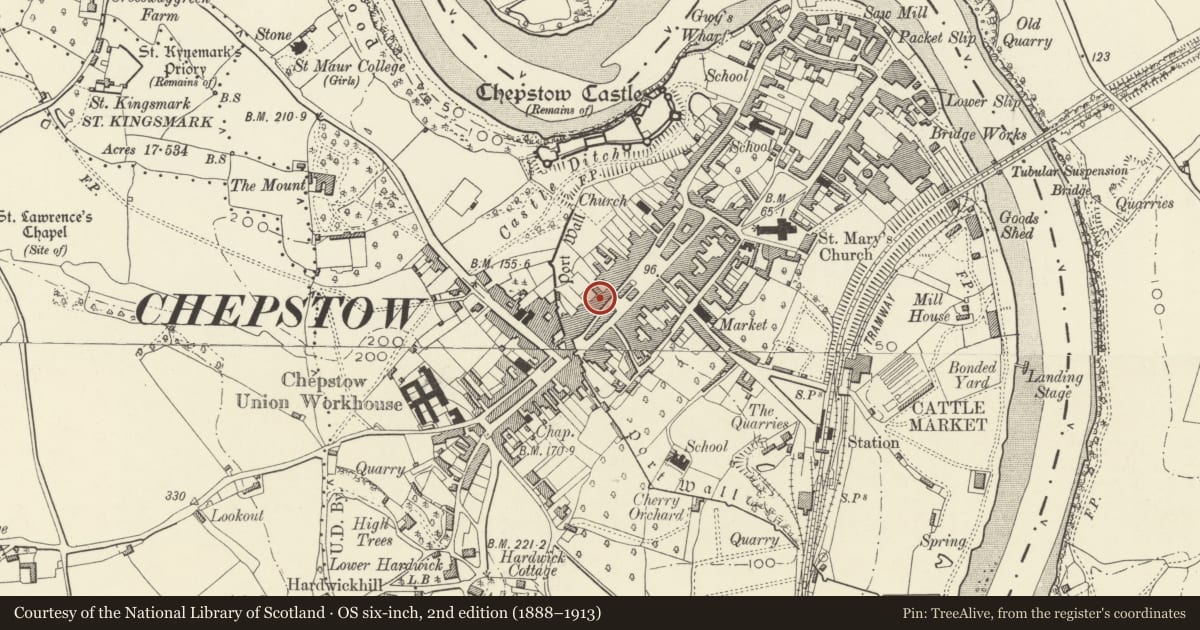 Ordnance Survey six-inch map, 2nd edition (1888–1913) covering the location of 9 Bank Street, Chepstow, Monmouthshire, with a pin at the register's coordinates