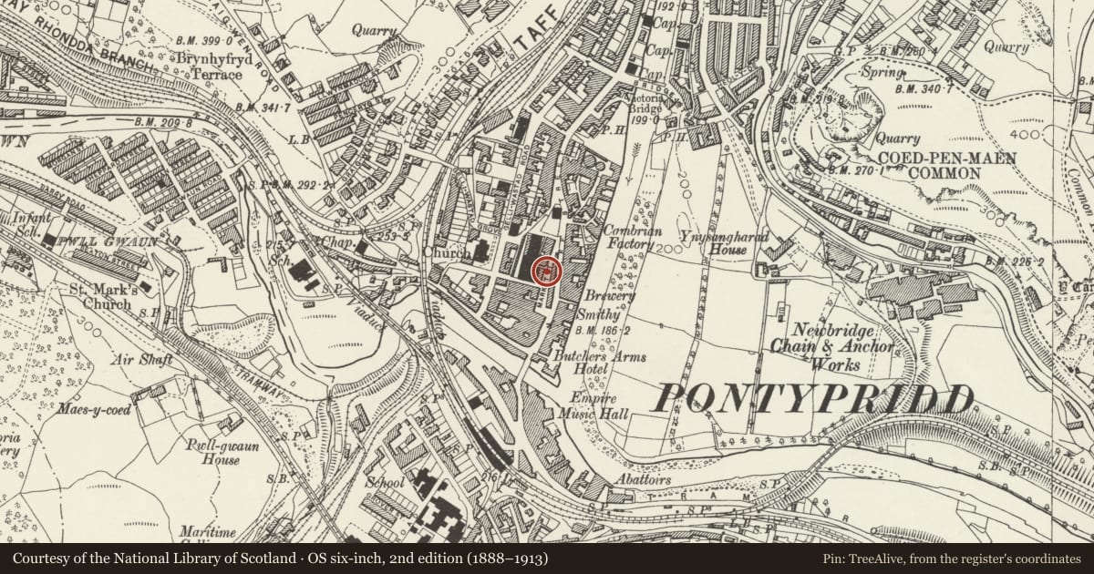Ordnance Survey six-inch map, 2nd edition (1888–1913) covering the location of Pets Corner, Pontypridd, Rhondda Cynon Taff, with a pin at the register's coordinates