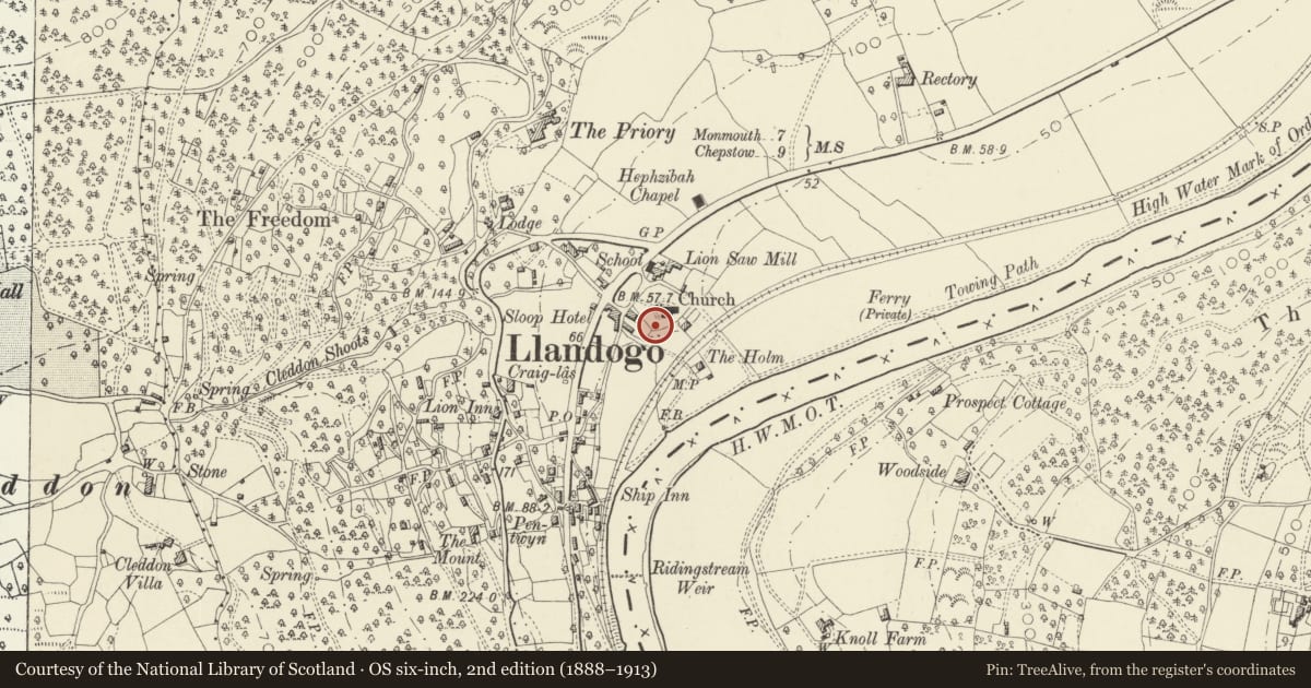 Ordnance Survey six-inch map, 2nd edition (1888–1913) covering the location of Group of four Chest Tombs in Churchyard to the south west of Church of St Oudoceus, Wye Valley, Monmouthshire, with a pin at the register's coordinates