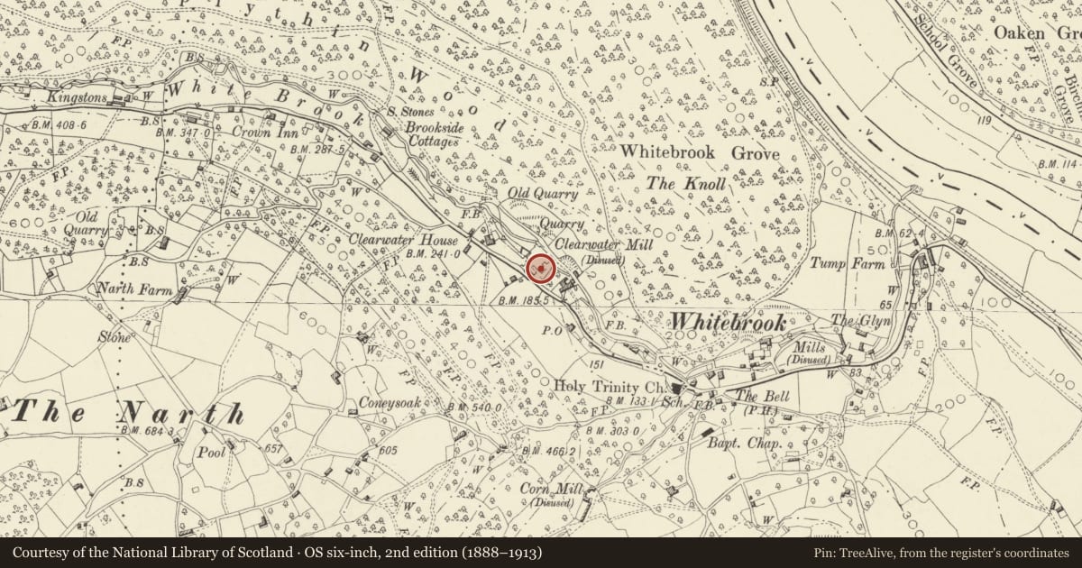 Ordnance Survey six-inch map, 2nd edition (1888–1913) covering the location of Chimney of former Clearwater Mill, Trellech United, Monmouthshire, with a pin at the register's coordinates