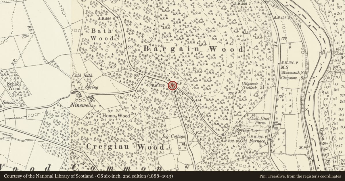 Ordnance Survey six-inch map, 2nd edition (1888–1913) covering the location of Whitestone Direction Marker, Wye Valley, Monmouthshire, with a pin at the register's coordinates