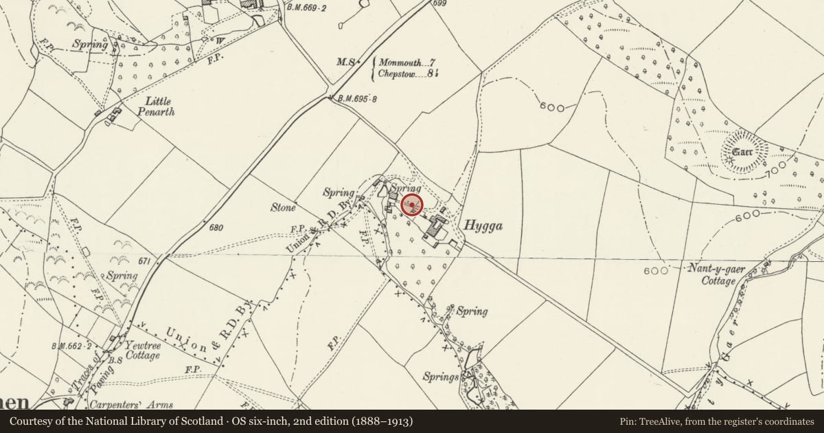 Ordnance Survey six-inch map, 2nd edition (1888–1913) covering the location of Revetment Walls and Paved Roadway at Hygga House, Trellech United, Monmouthshire, with a pin at the register's coordinates