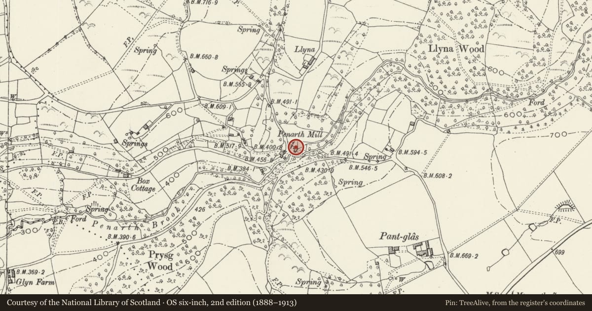Ordnance Survey six-inch map, 2nd edition (1888–1913) covering the location of Penarth Mill, Trellech United, Monmouthshire, with a pin at the register's coordinates