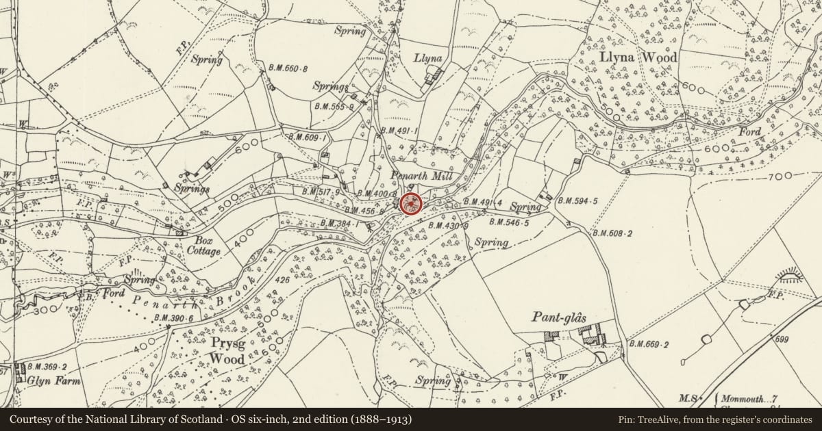 Ordnance Survey six-inch map, 2nd edition (1888–1913) covering the location of Bridge at Penarth Mill, Trellech United, Monmouthshire, with a pin at the register's coordinates