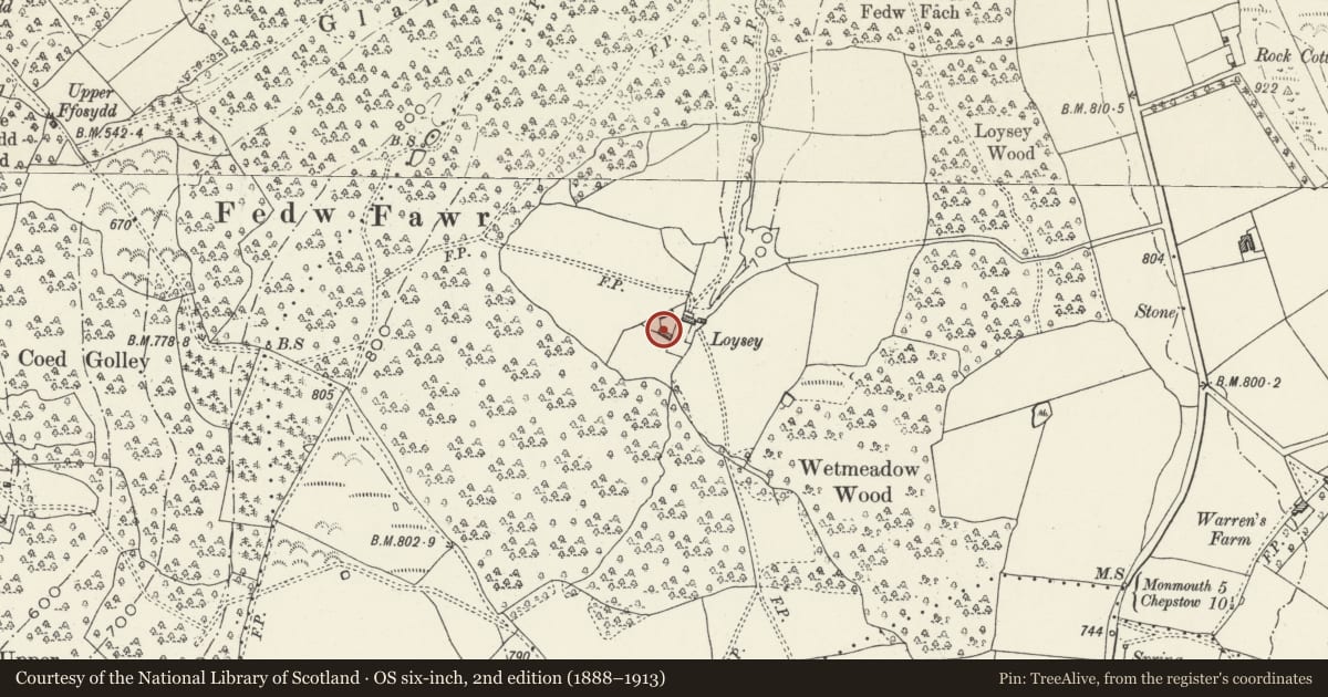 Ordnance Survey six-inch map, 2nd edition (1888–1913) covering the location of Barn at Loysey, Trellech United, Monmouthshire, with a pin at the register's coordinates