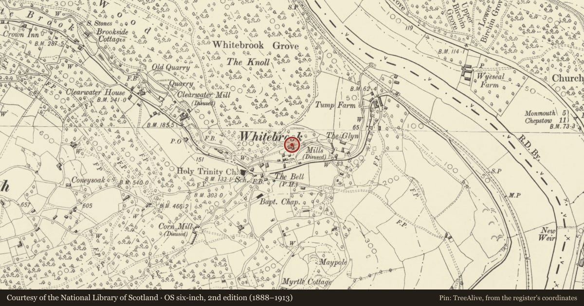 Ordnance Survey six-inch map, 2nd edition (1888–1913) covering the location of Wye Valley Millhouse, Trellech United, Monmouthshire, with a pin at the register's coordinates