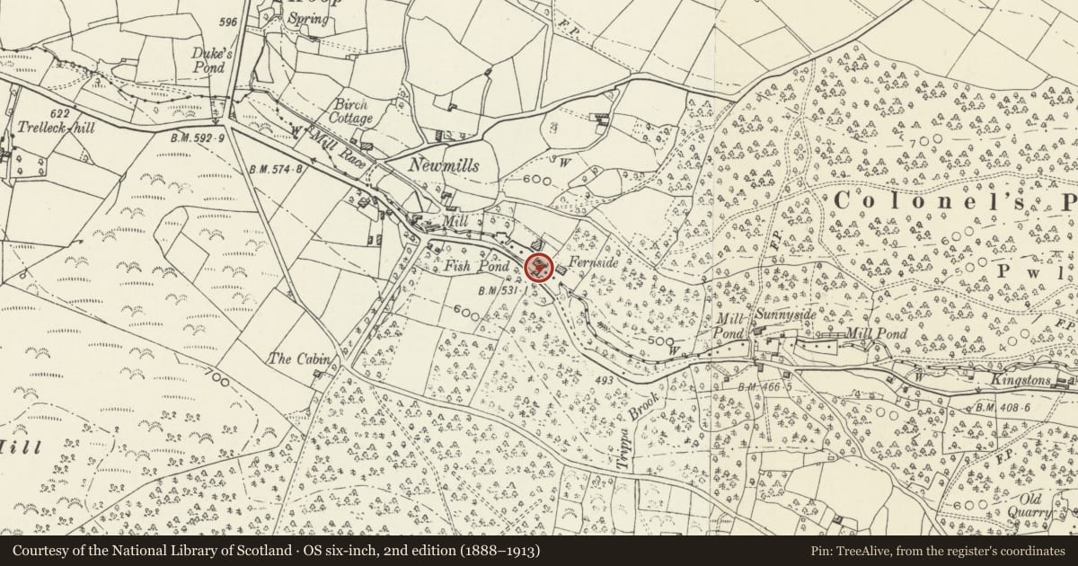 Ordnance Survey six-inch map, 2nd edition (1888–1913) covering the location of Fernside Mill, Trellech United, Monmouthshire, with a pin at the register's coordinates