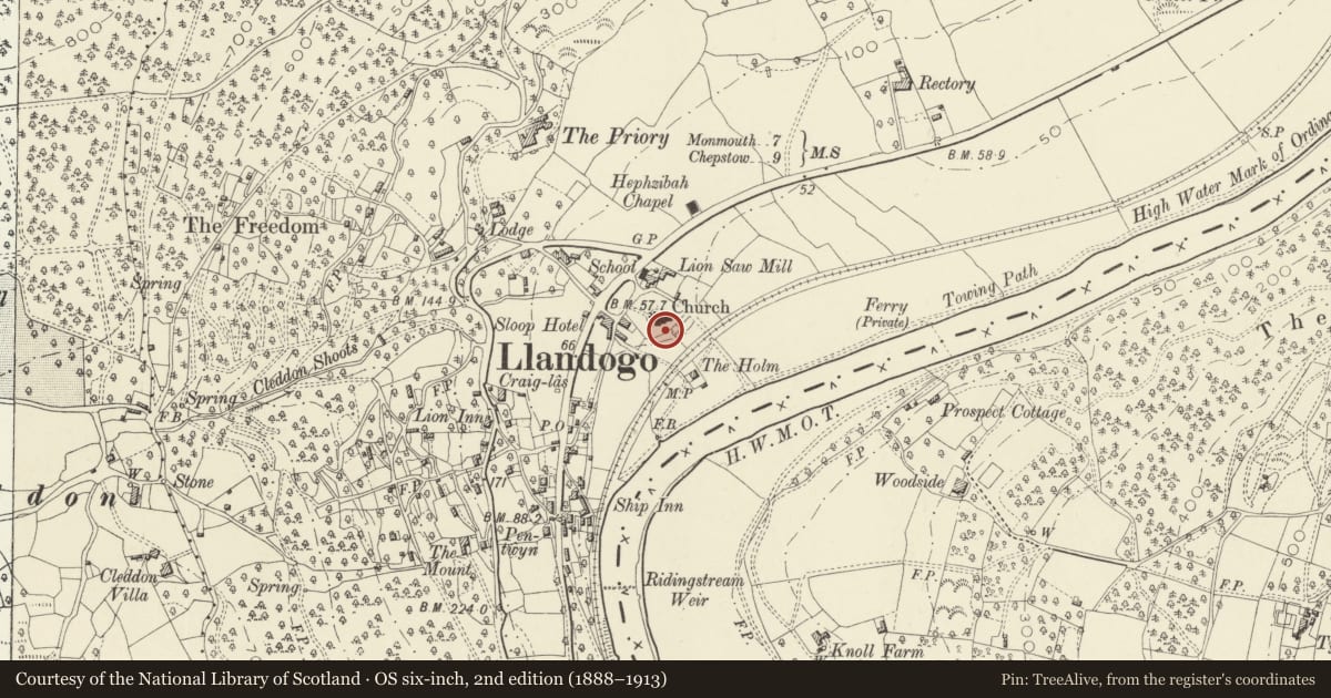 Ordnance Survey six-inch map, 2nd edition (1888–1913) covering the location of Group of three Chest Tombs to the south of the Church of St Oudoceus, Wye Valley, Monmouthshire, with a pin at the register's coordinates