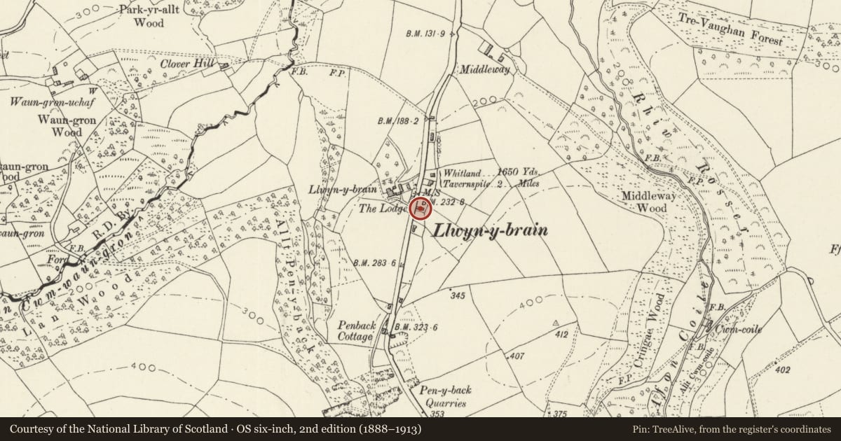 Ordnance Survey six-inch map, 2nd edition (1888–1913) covering the location of Llwynybrain Cottage, Whitland, Carmarthenshire, with a pin at the register's coordinates