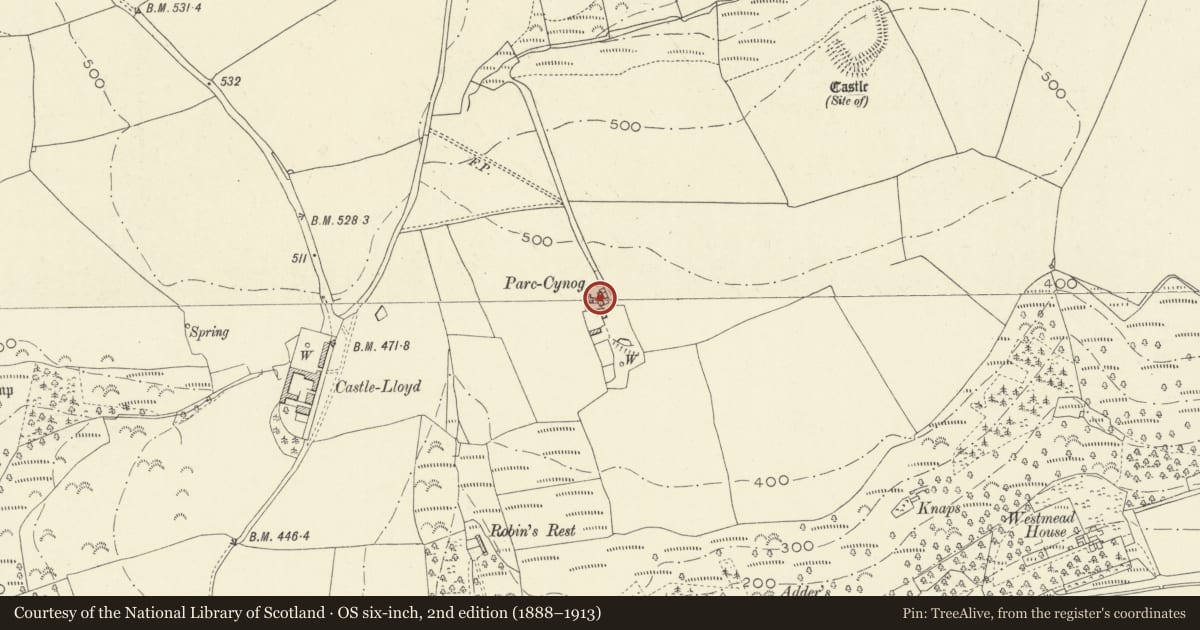 Ordnance Survey six-inch map, 2nd edition (1888–1913) covering the location of Old farmhouse at Parc Cynog, Llanddowror, Carmarthenshire, with a pin at the register's coordinates