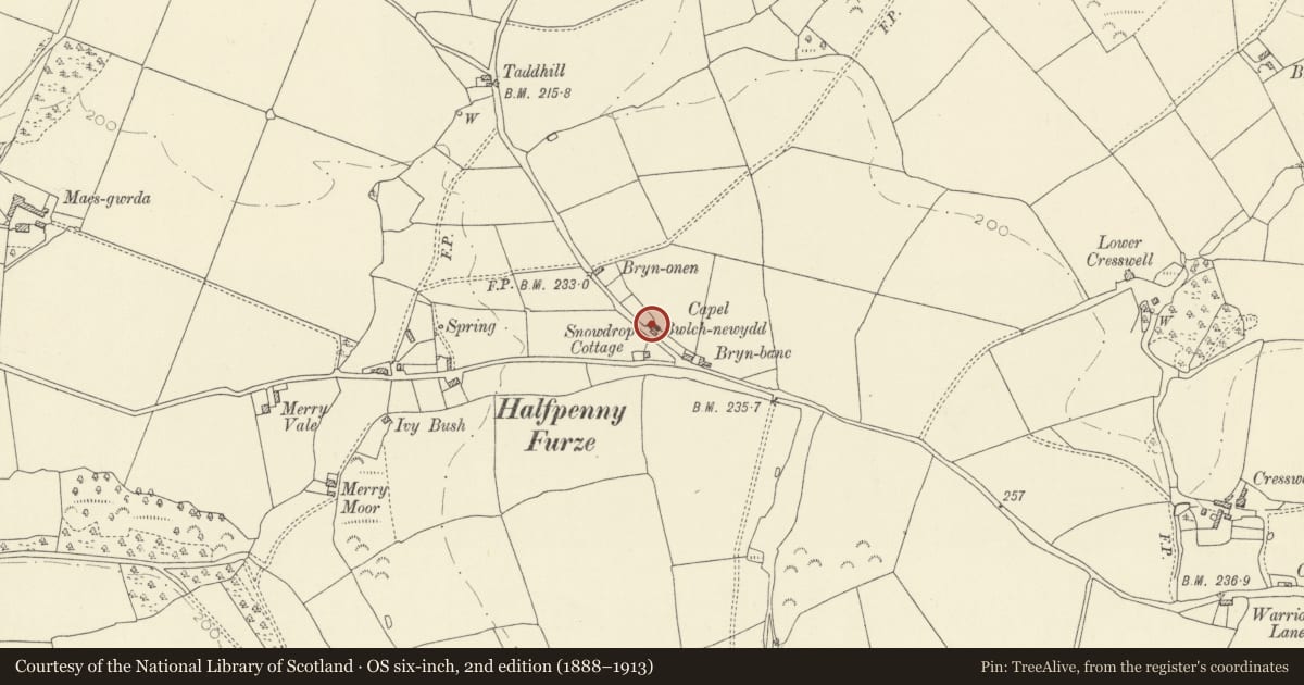 Ordnance Survey six-inch map, 2nd edition (1888–1913) covering the location of Bwlchnewydd Baptist Chapel, Llanddowror, Carmarthenshire, with a pin at the register's coordinates