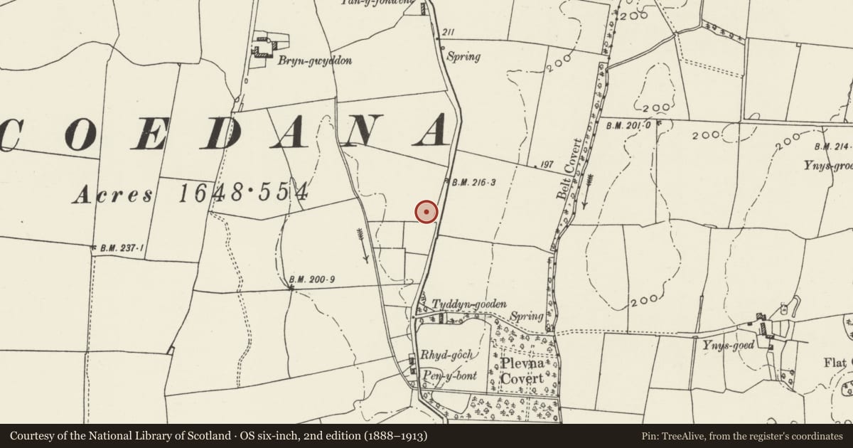 Ordnance Survey six-inch map, 2nd edition (1888–1913) covering the location of The Old Rectory, Llannerch-y-Medd, Isle of Anglesey, with a pin at the register's coordinates