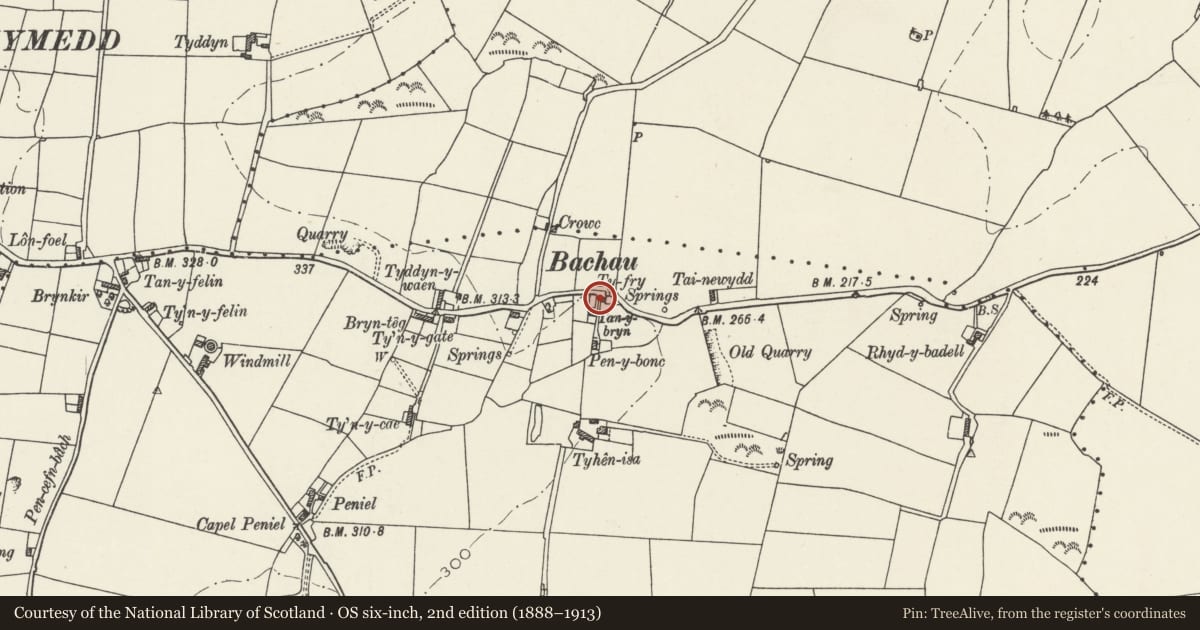Ordnance Survey six-inch map, 2nd edition (1888–1913) covering the location of Cottage, Bachau, Llannerch-y-Medd, Isle of Anglesey, with a pin at the register's coordinates
