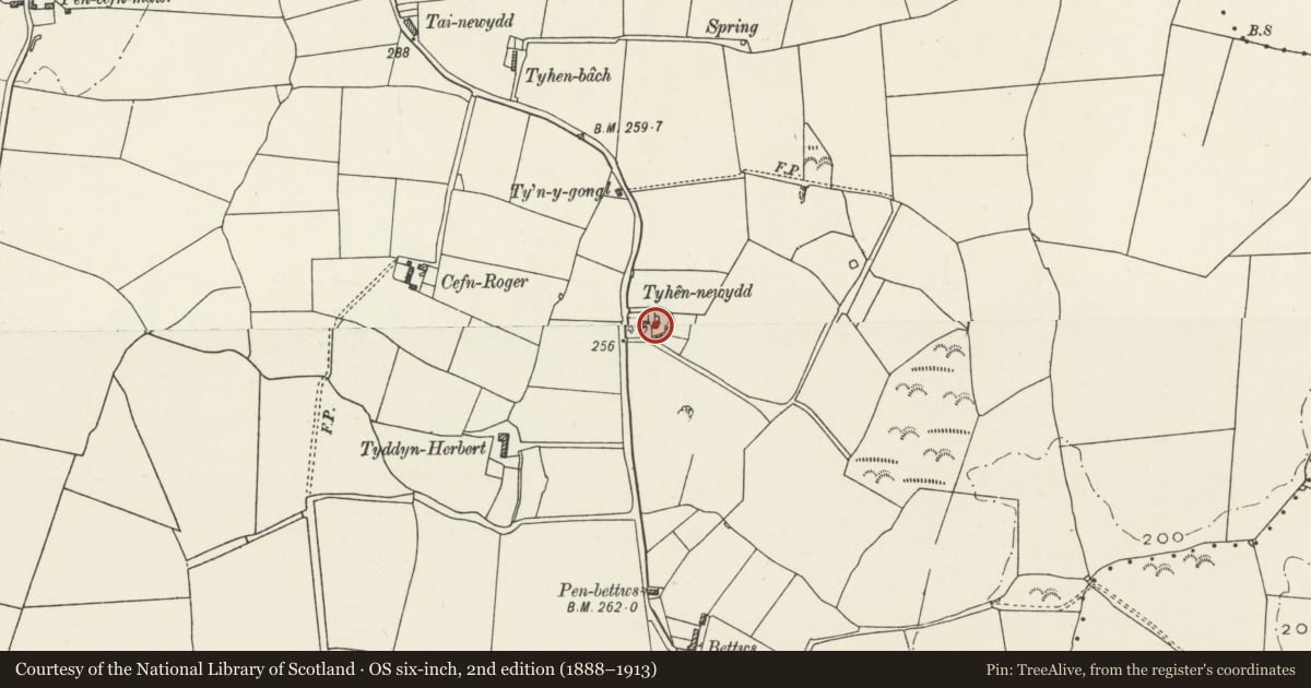 Ordnance Survey six-inch map, 2nd edition (1888–1913) covering the location of Boiling house and wall of former pigsty range at Ty Hen Newydd, Llannerch-y-Medd, Isle of Anglesey, with a pin at the register's coordinates