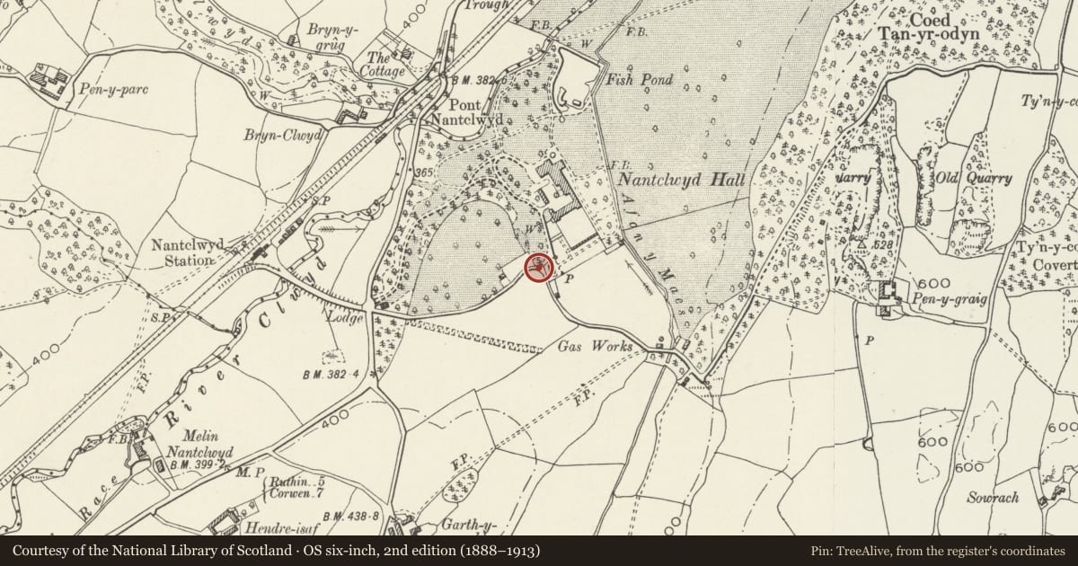 Ordnance Survey six-inch map, 2nd edition (1888–1913) covering the location of West Gateway at South Perimeter Road to Nantclwyd Hall, Llanelidan, Denbighshire, with a pin at the register's coordinates