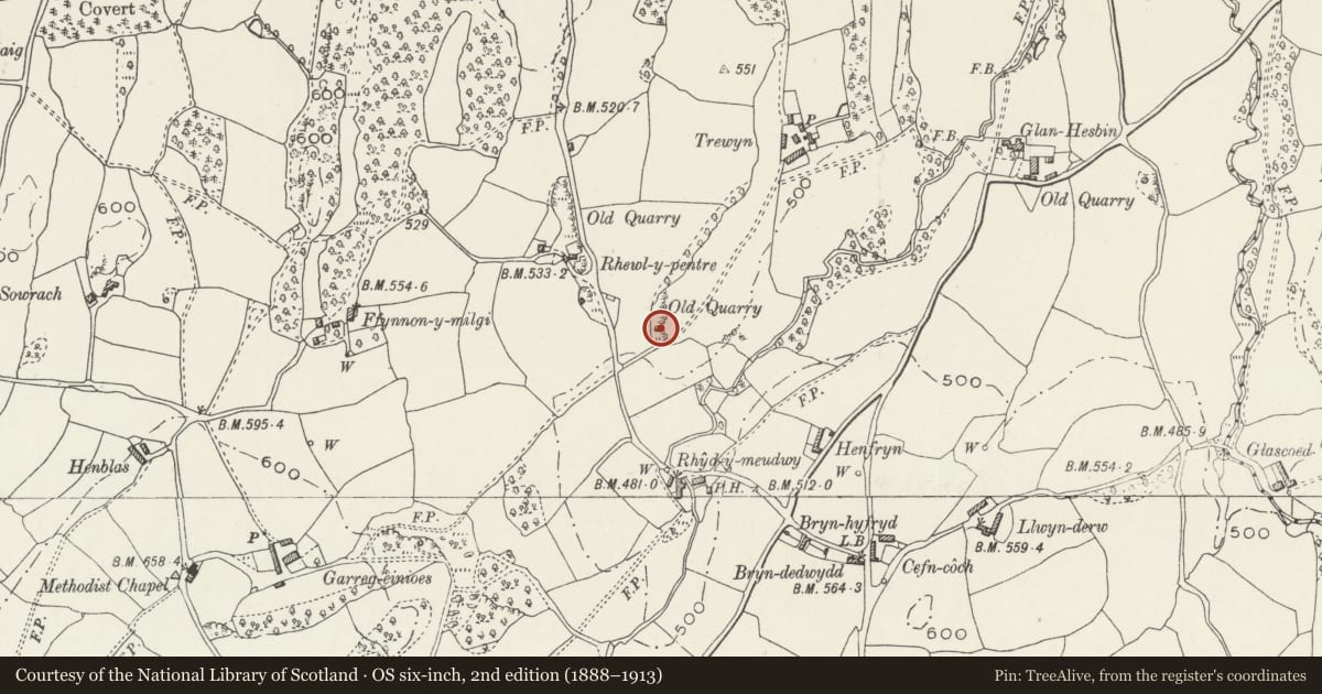 Ordnance Survey six-inch map, 2nd edition (1888–1913) covering the location of Limekiln at Trewyn Farm, Llanelidan, Denbighshire, with a pin at the register's coordinates